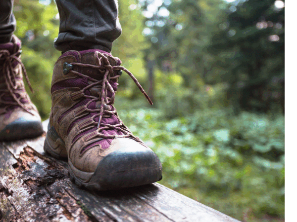 Wandern 800x450