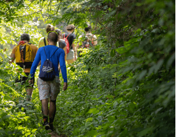 pilzwanderung 899x450